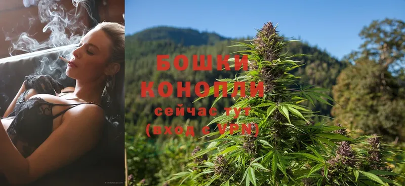 блэк спрут ONION  Аша  Конопля SATIVA & INDICA 